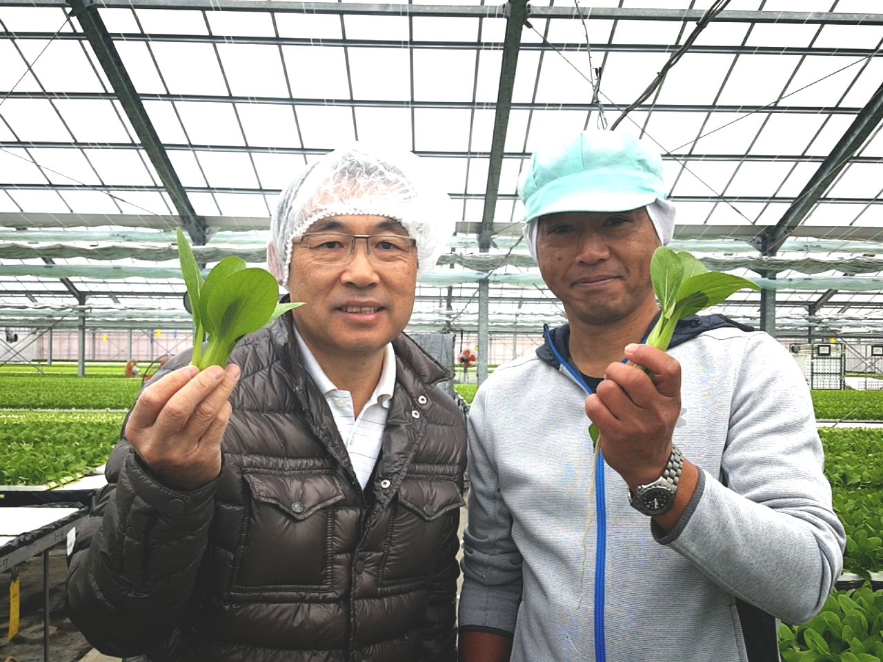 京丸園-「魅せる野菜」ミニサイズ野菜の栽培現場へ- | 株式会社まつの