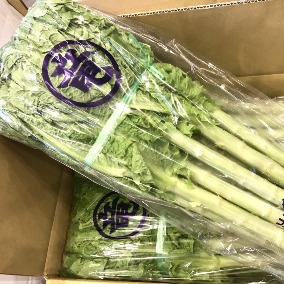 ちしゃとう 花粉症 アレルギー - 食品