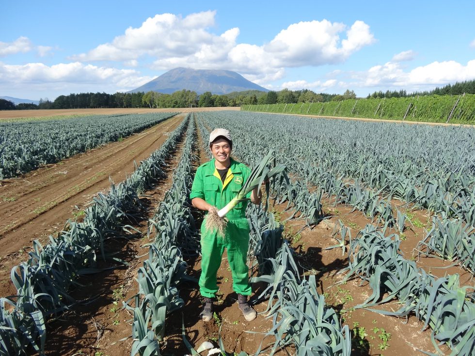 シェフ絶賛 レストラン御用達の西洋野菜 株式会社まつの